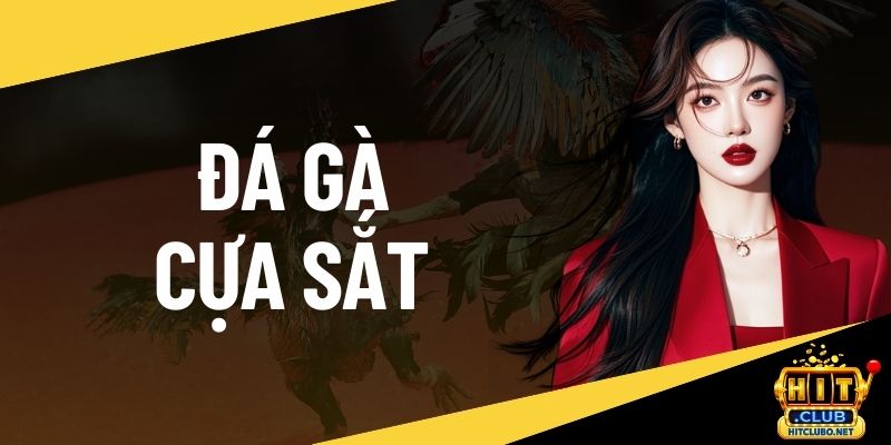 Đá gà cựa sắt