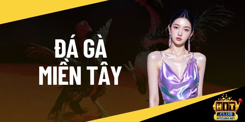 Đá gà miền tây