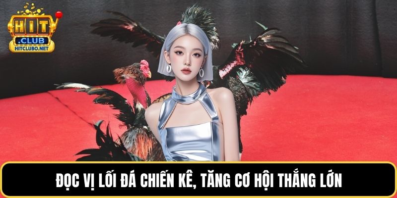 Đọc vị lối đá chiến kê, tăng cơ hội thắng lớn