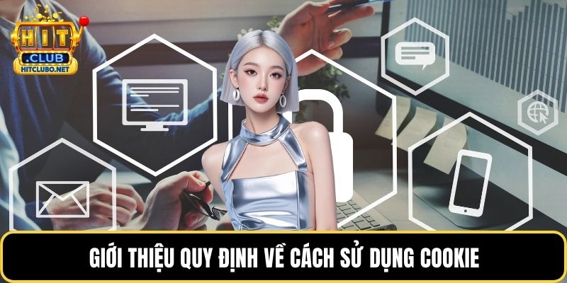 Quyền Riêng Tư - Cam Kết Bảo Mật Tuyệt Đối Tại HITCLUB 2026 4 Giới thiệu quy định về cách sử dụng Cookie
