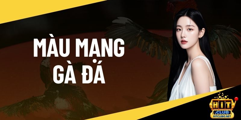 màu mạng gà đá