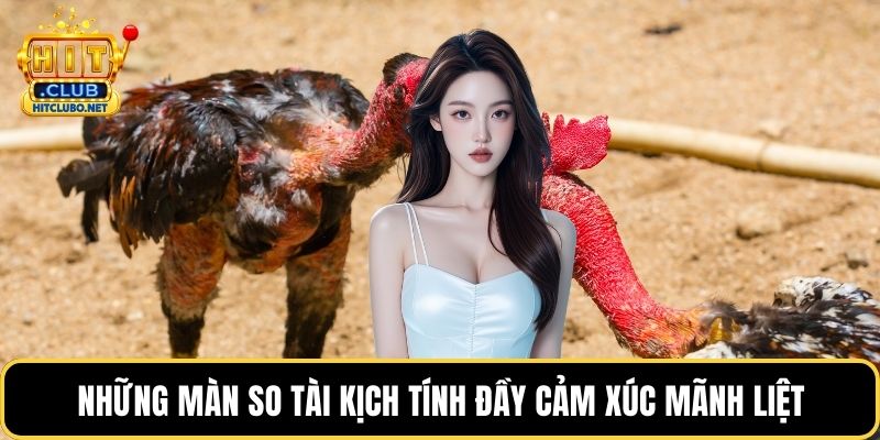 Những màn so tài kịch tính đầy cảm xúc mãnh liệt