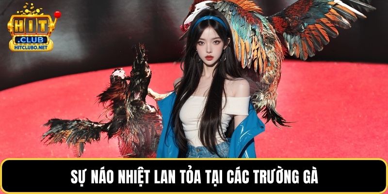 Sự náo nhiệt lan tỏa tại các trường gà