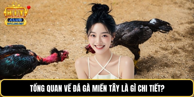 Tổng quan về đá gà miền Tây là gì chi tiết?