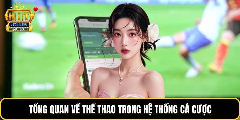 Tổng quan về thể thao trong hệ thống cá cược