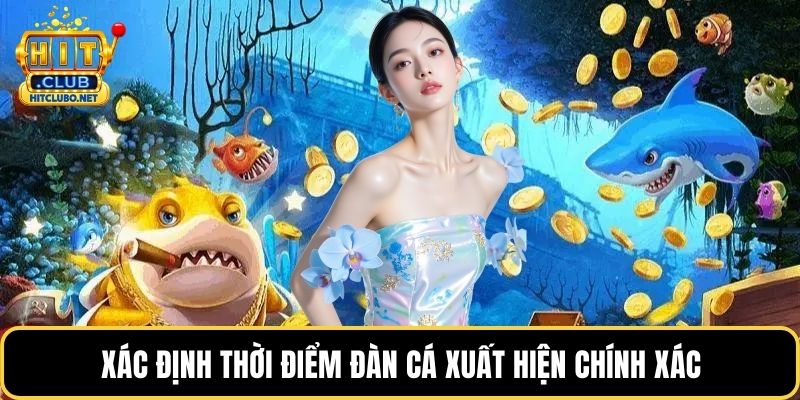 Bắn Cá Online Hấp Dẫn – Trải Nghiệm Săn Cá Đỉnh Cao 2026 4 Xác định thời điểm đàn cá xuất hiện chính xác